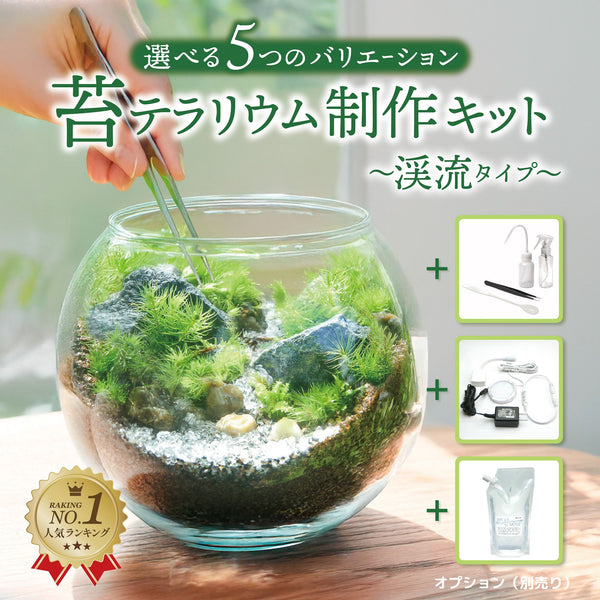渓流の風景　苔テラリウム制作キット《苔パック4種》