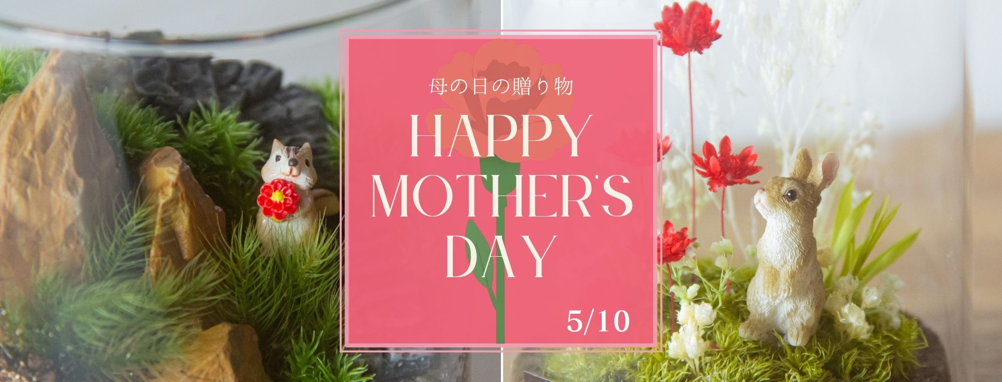 こけむすび様ご確認用 【公式通販】