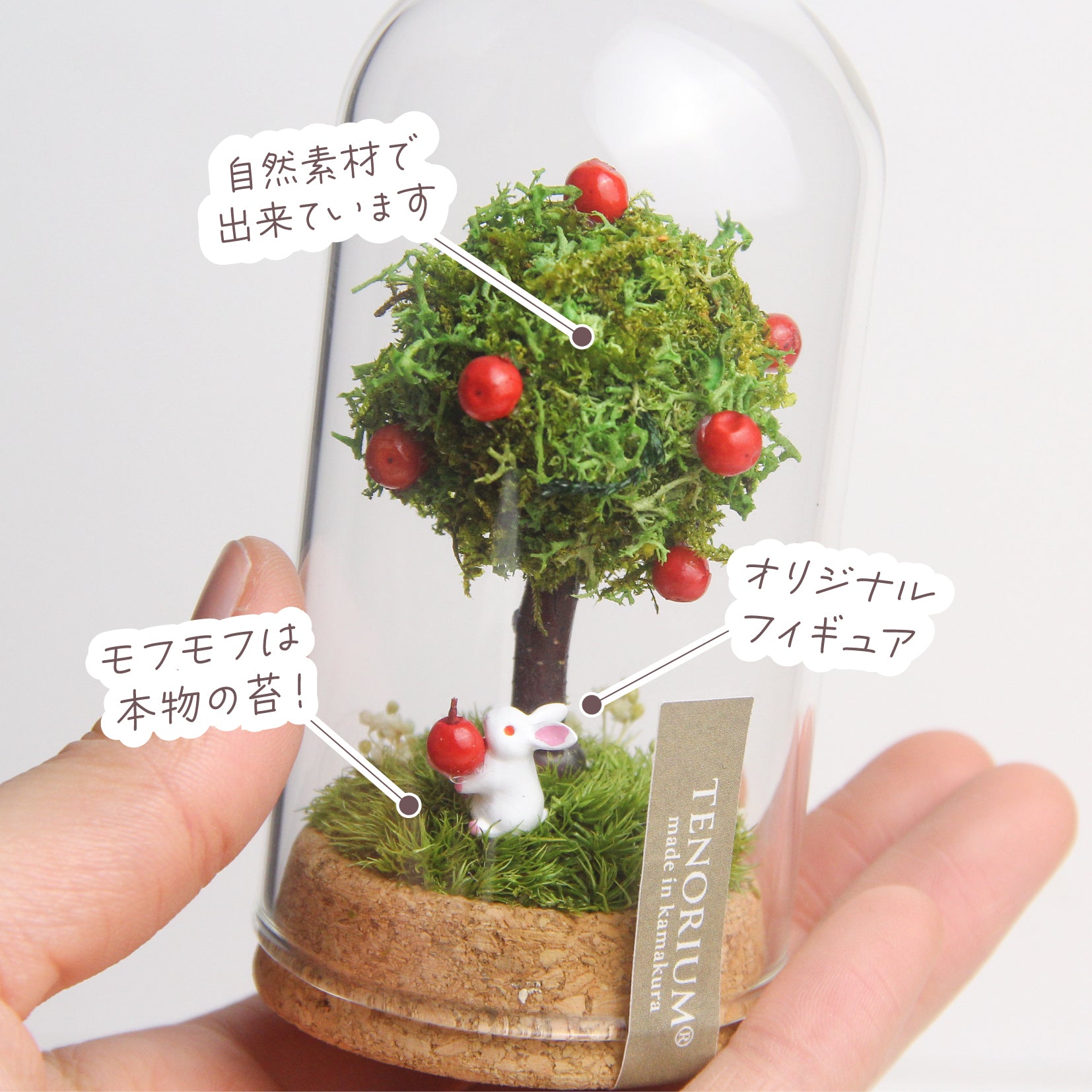 苔むすび OnlineShop