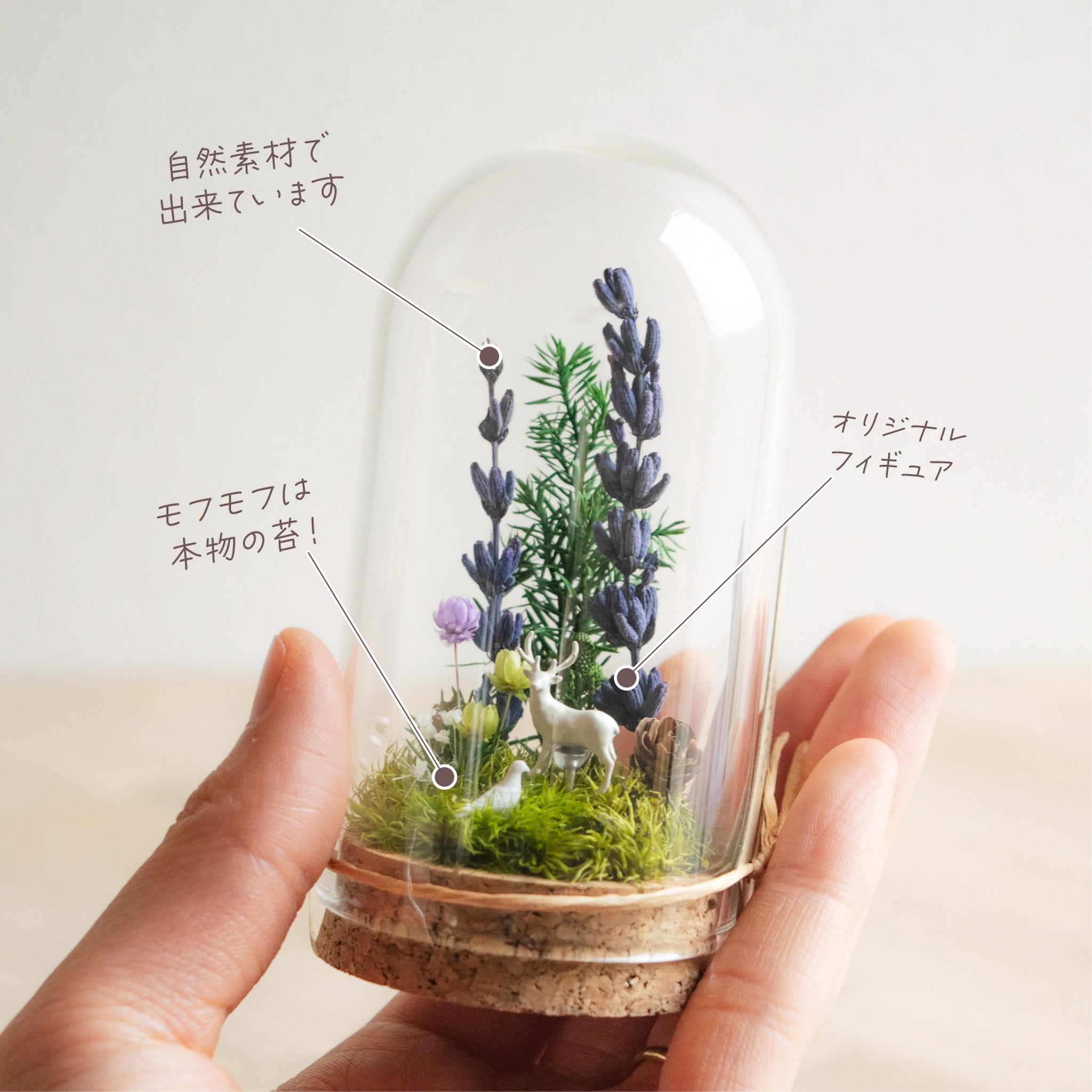 ナチュラル・ホワイト_プチ・てのリウム [φ50mm]《プリザーブド