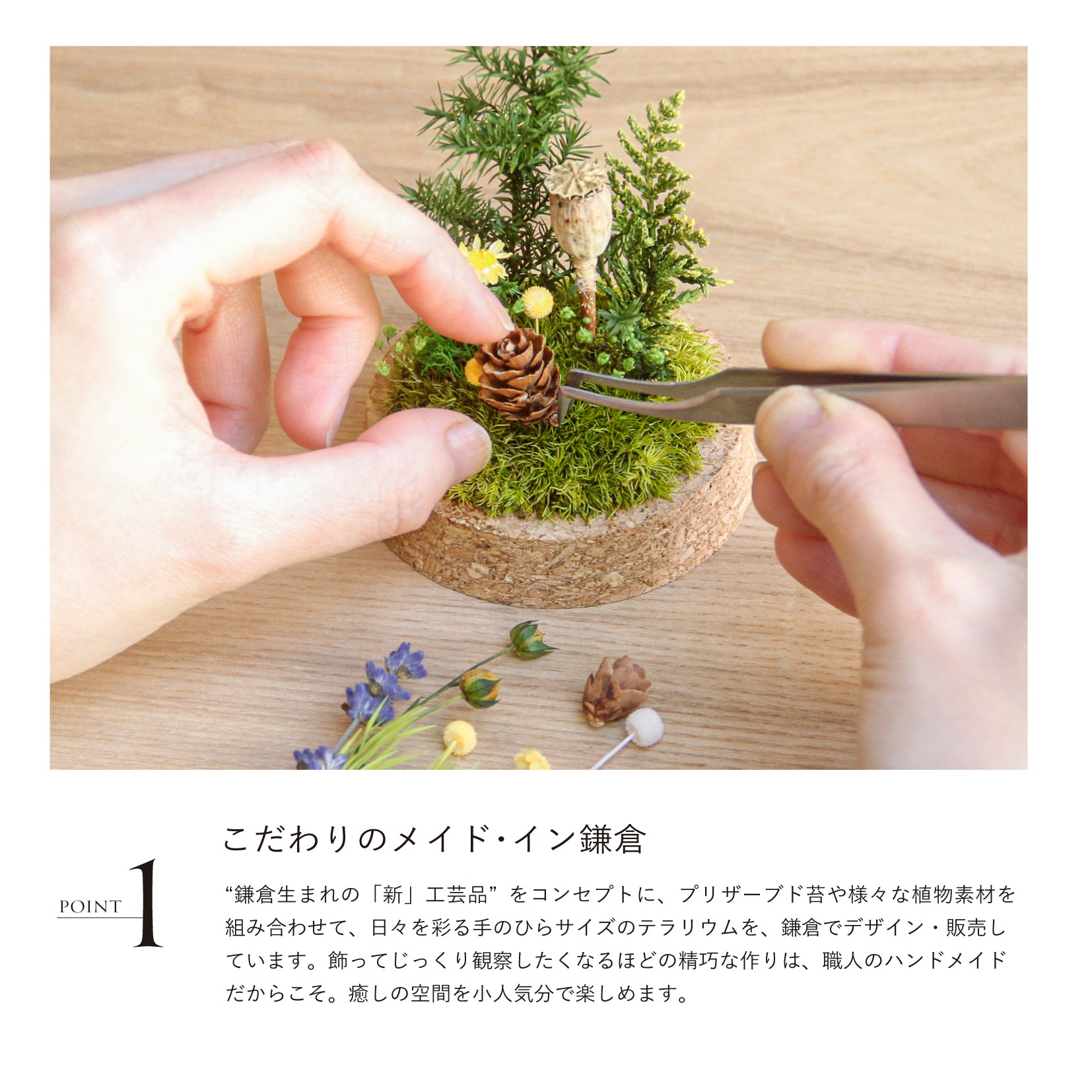 ネコ2匹_草原の家 [φ75mm]《プリザーブド苔テラリウム》 – 苔むすび