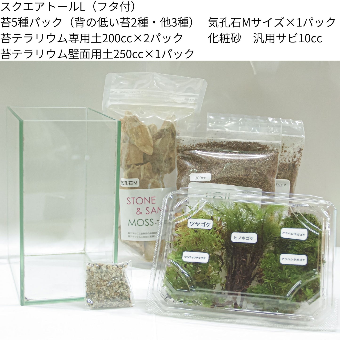 ＼3月15日開催オンラインWS／【 本棚に置ける苔テラリウム制作キット】《苔5種パック》