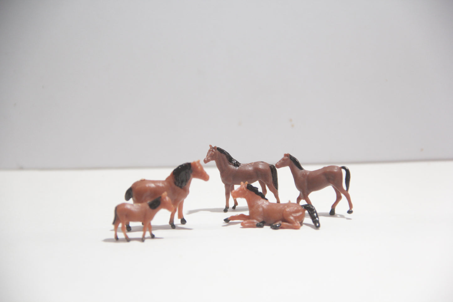 《迎春》苔テラリウム「駆（うま）」＼送料無料／