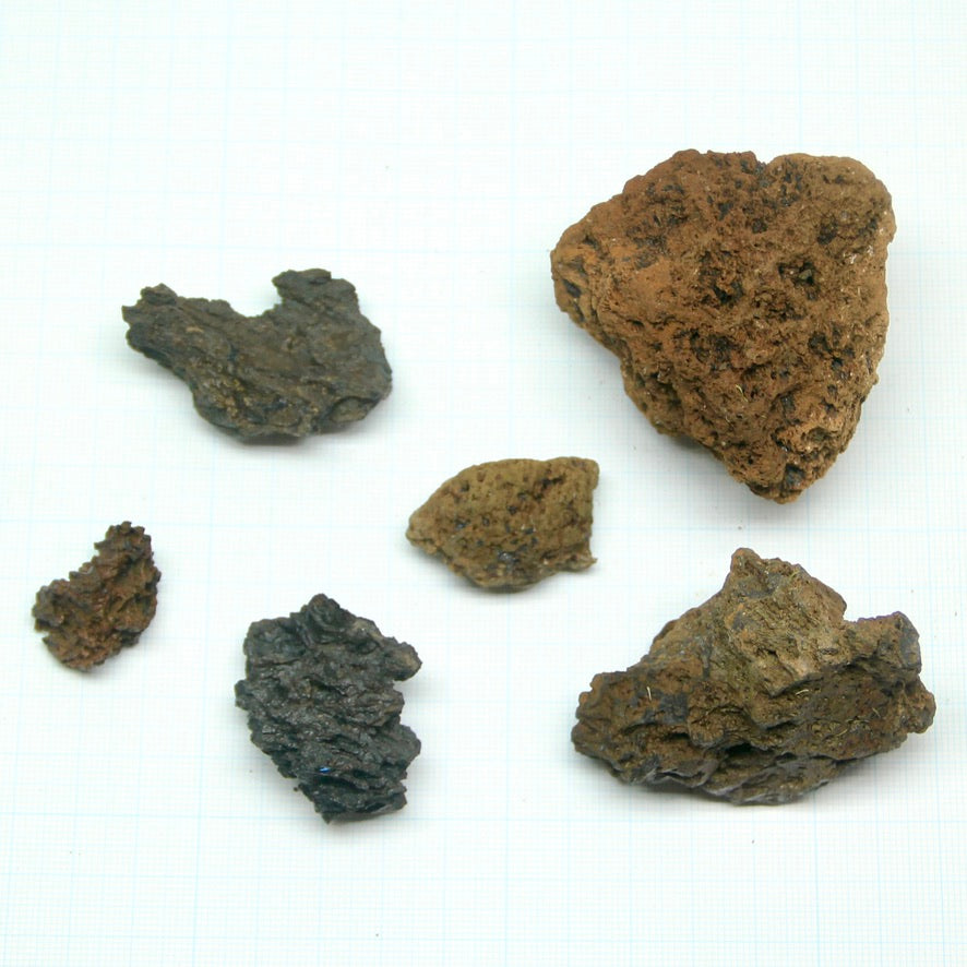褐色溶岩石M（10-60mm）《苔テラリウム・コケリウム用》