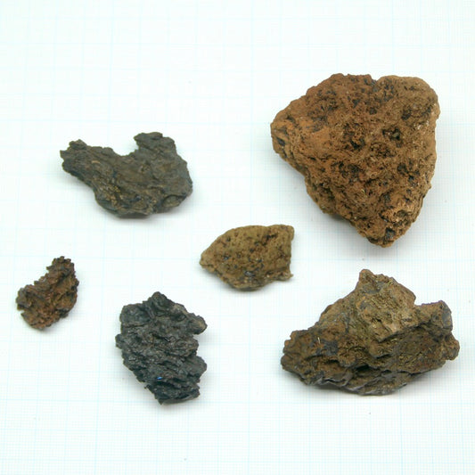 褐色溶岩石M（10-60mm）《苔テラリウム・コケリウム用》