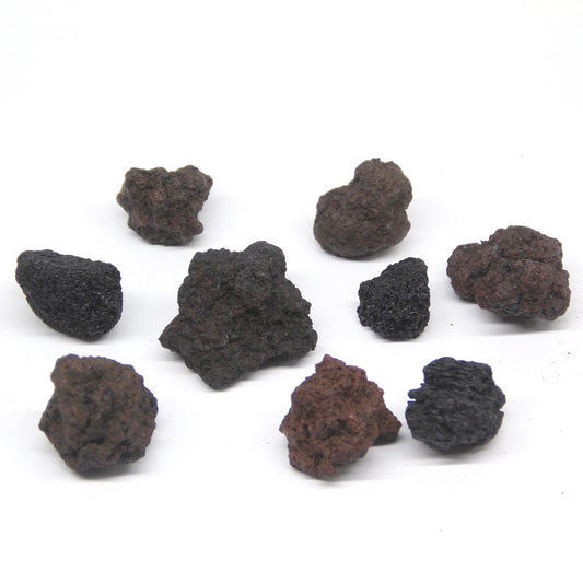 黒色溶岩石M（20-60mm）《苔テラリウム・コケリウム用》