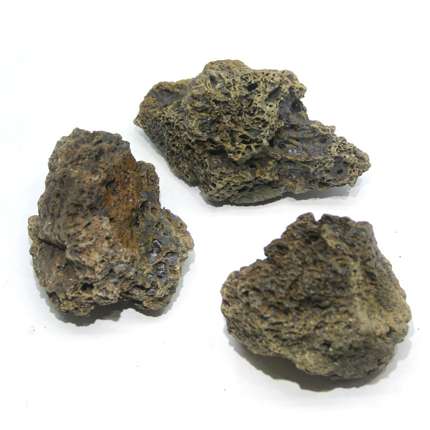褐色溶岩石L（6-10cm・3個）《苔テラリウム・コケリウム用》